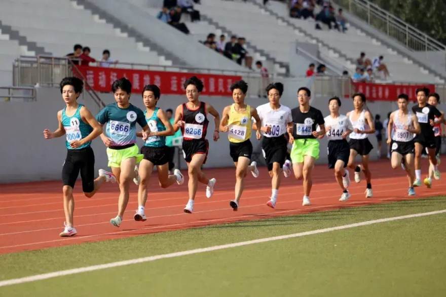 必一运动 从替补席到数据榜前列:三位草根球员的赛季逆袭样本